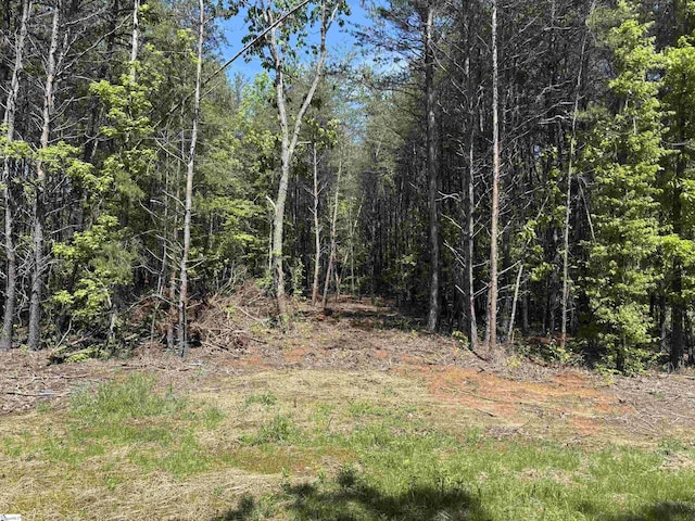 1940 Pleasant Hill Rd Lot 3-B, Greer, SC 29651
