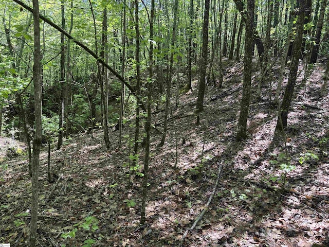 1940 Pleasant Hill Rd Lot 3-B, Greer, SC 29651