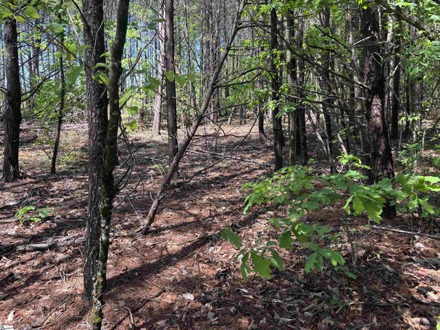 1940 Pleasant Hill Rd Lot 3-B, Greer, SC 29651