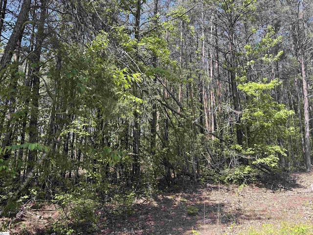 1940 Pleasant Hill Rd Lot 3-B, Greer, SC 29651