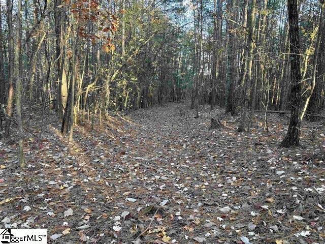 1940 Pleasant Hill Rd Lot 3-B, Greer, SC 29651