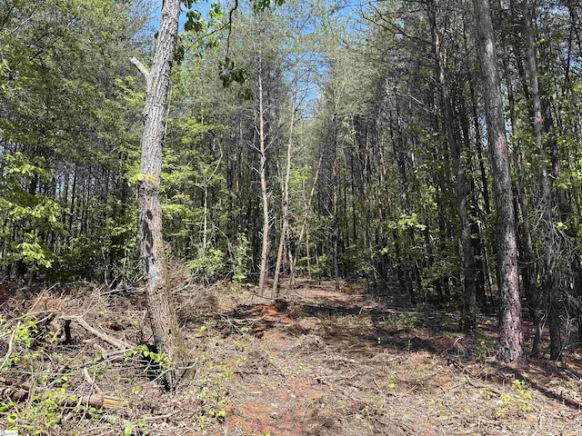 1940 Pleasant Hill Rd Lot 3-B, Greer, SC 29651