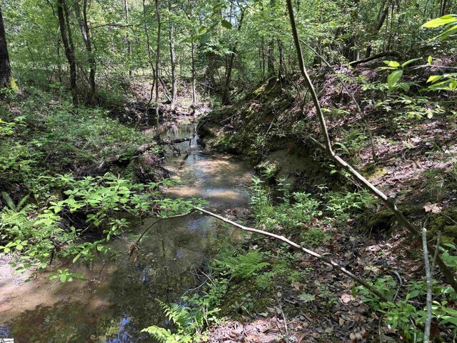 1940 Pleasant Hill Rd Lot 3-B, Greer, SC 29651