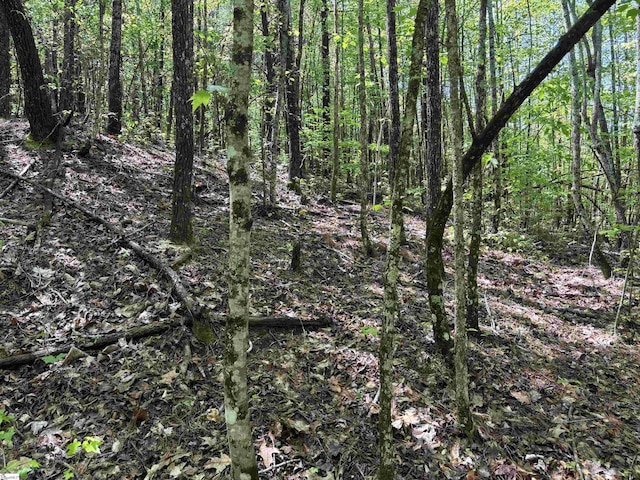 1940 Pleasant Hill Rd Lot 3-B, Greer, SC 29651