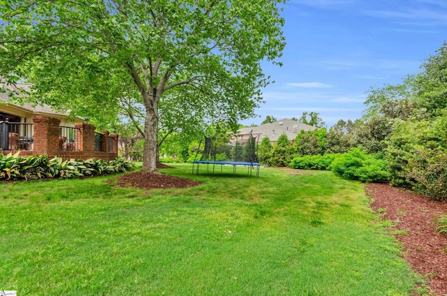 view of yard featuring a trampoline