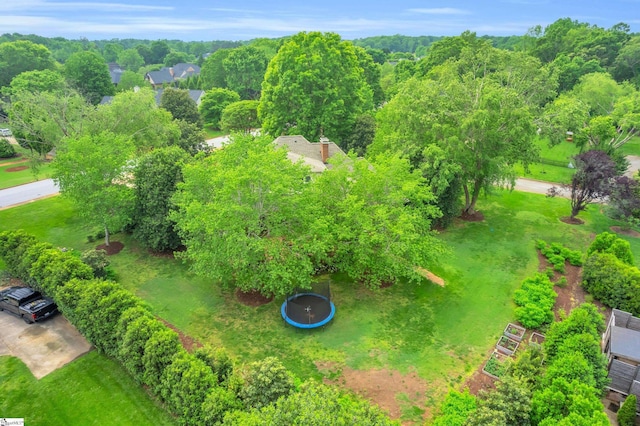 aerial view