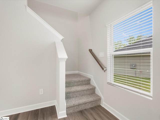 216 Merriweather Way, Spartanburg, SC 29302 - stairs featuring baseboards and wood finished floors