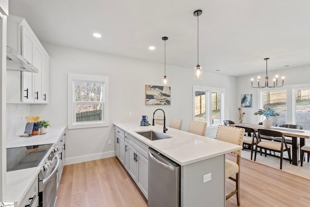 kitchen with a peninsula, light wood-type flooring, under cabinet range hood, a sink, and stainless steel appliances