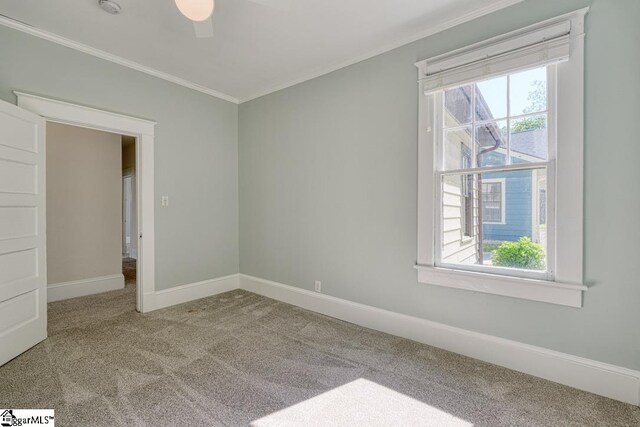 carpeted spare room with a ceiling fan, baseboards, and ornamental molding