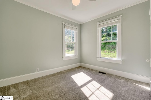 carpeted spare room featuring baseboards, ornamental molding, a ceiling fan, and visible vents