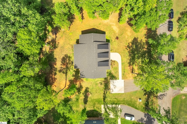 bird's eye view