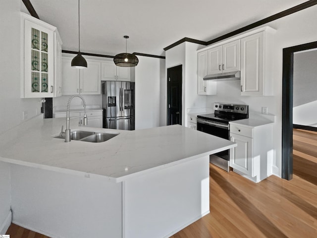 1611 Scuffletown Rd, Fountain Inn, SC 29644 - kitchen with appliances with stainless steel finishes, a sink, a peninsula, light wood-style floors, and under cabinet range hood