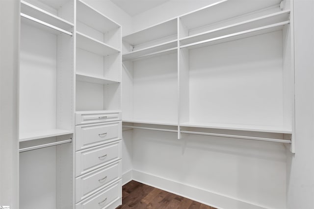 spacious closet featuring dark wood-style floors
