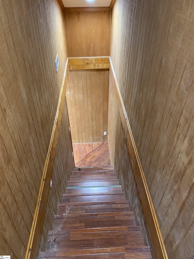 stairs featuring wood walls and hardwood / wood-style floors