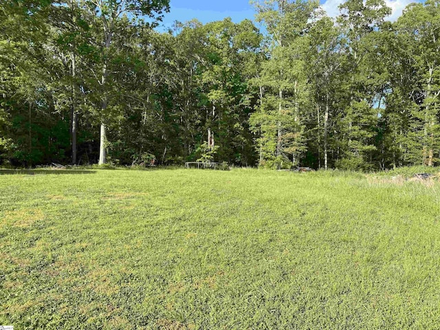 view of yard featuring a view of trees