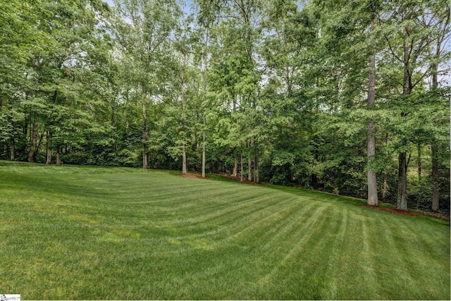 17 Avens Hill Dr, Greer, SC 29651 - view of yard with a wooded view
