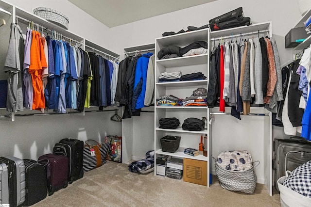502 Kingsmoor Dr, Simpsonville, SC 29681 - spacious closet with carpet