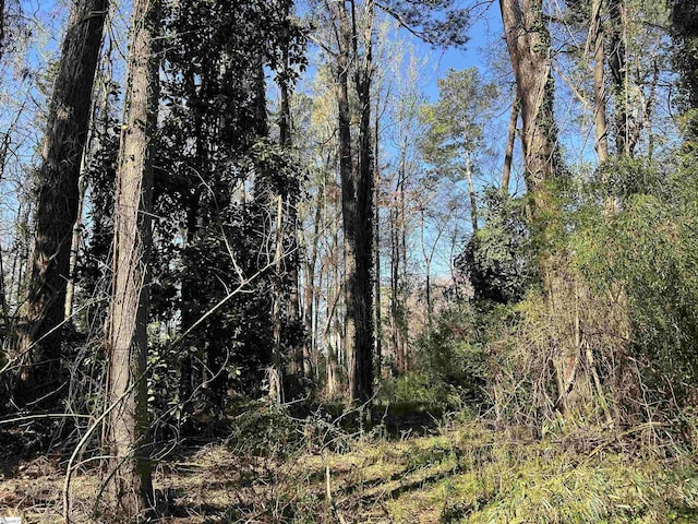 402 Chestnut St, Clinton, SC 29325 - view of nature with a view of trees