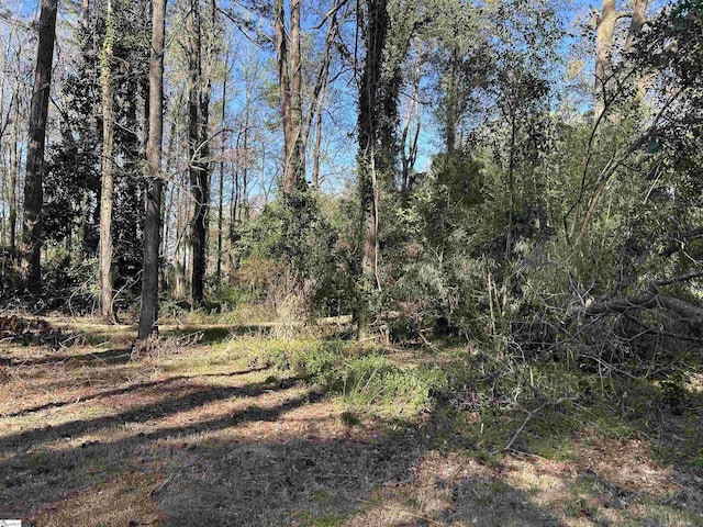 402 Chestnut St, Clinton, SC 29325 - view of nature