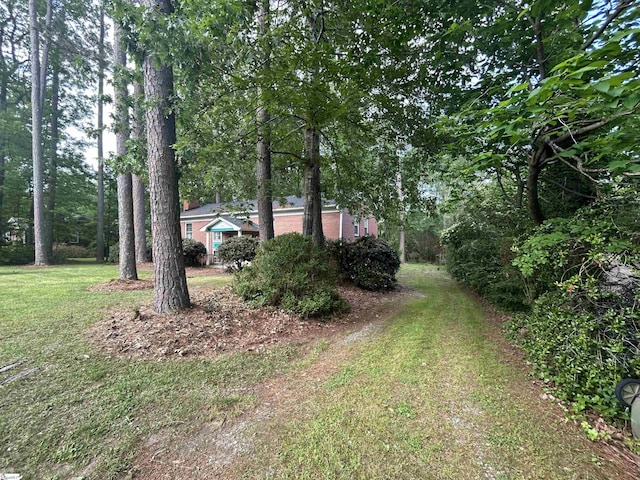 402 Chestnut St, Clinton, SC 29325 - view of yard