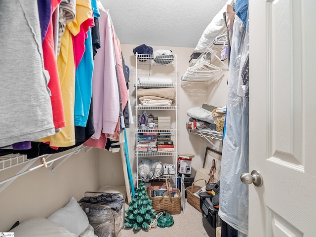 walk in closet with carpet flooring