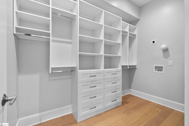 walk in closet with light wood-type flooring