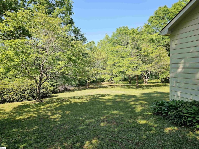 view of yard