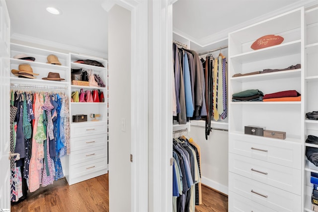 spacious closet featuring wood finished floors