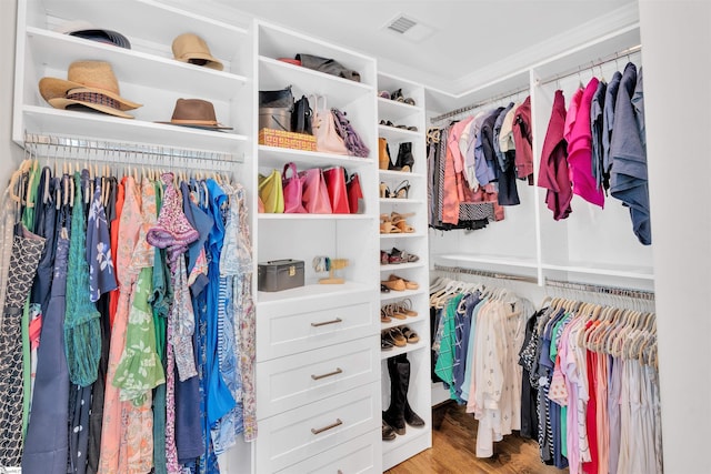 walk in closet featuring visible vents and wood finished floors