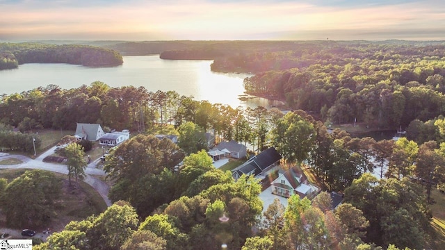 aerial view at dusk with a water view and a forest view