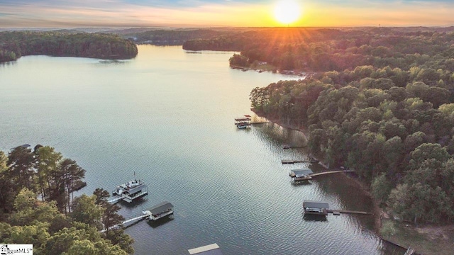 birds eye view of property featuring a water view and a forest view
