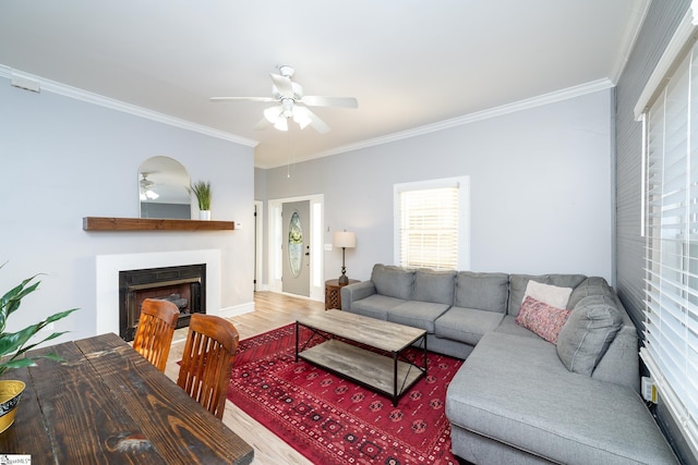 living area featuring crown molding, a ceiling fan, and wood finished floors