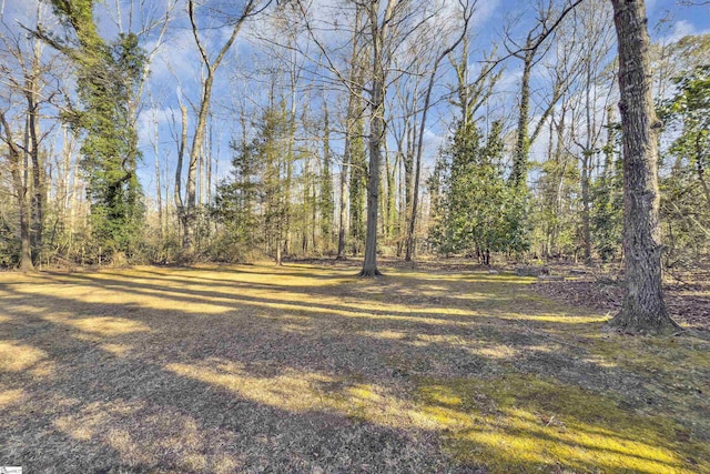 view of yard featuring a wooded view
