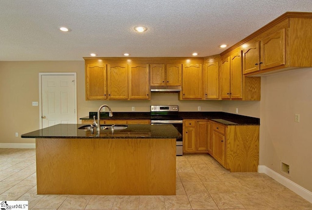kitchen with baseboards, a sink, stainless steel range with electric stovetop, and recessed lighting