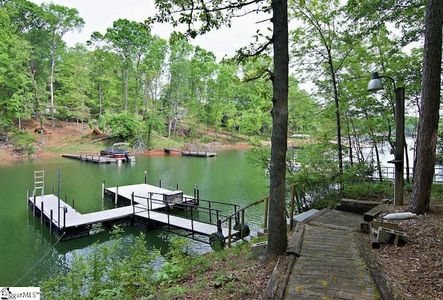 dock area with a water view