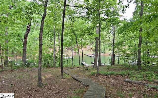 view of yard with a water view and a boat dock