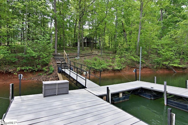 dock area with a water view