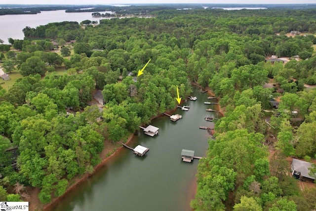 bird's eye view featuring a water view and a forest view