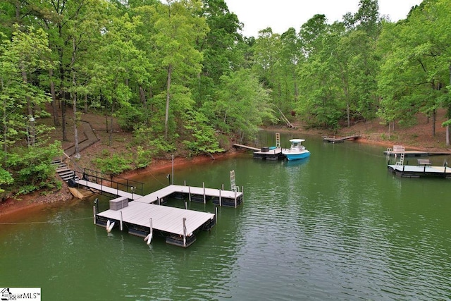 dock area featuring a water view