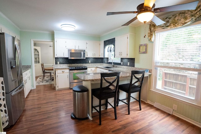 kitchen featuring appliances with stainless steel finishes, a sink, a peninsula, dark wood-style floors, and ornamental molding