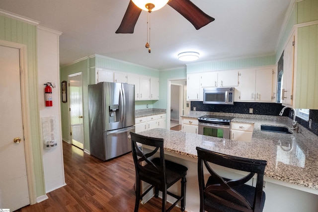 kitchen featuring a sink, a peninsula, ornamental molding, stainless steel appliances, and dark wood-type flooring