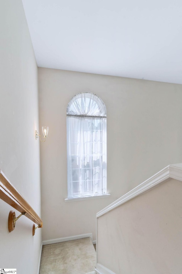 stairway with baseboards and carpet