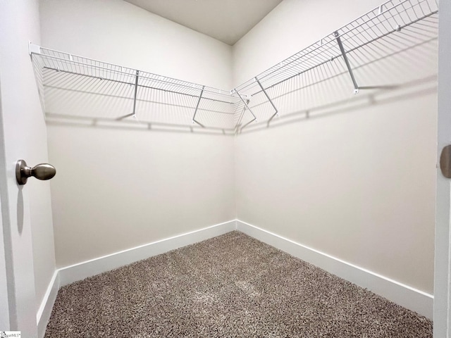 spacious closet with carpet flooring