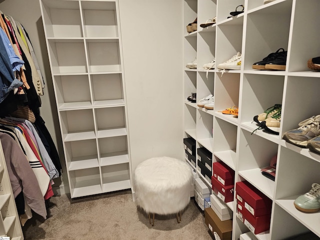 spacious closet featuring carpet floors