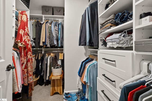 spacious closet with carpet