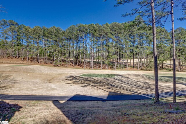 1000-2 Captains Cove Ct, Salem, SC 29676 - view of yard