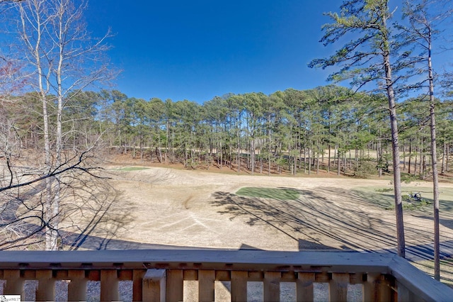 1000-2 Captains Cove Ct, Salem, SC 29676 - view of yard