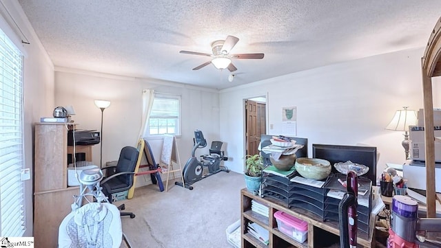 carpeted home office with a ceiling fan and a textured ceiling