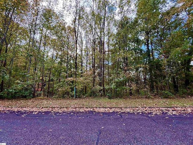313 Laurel Valley Way, Travelers Rest, SC 29690