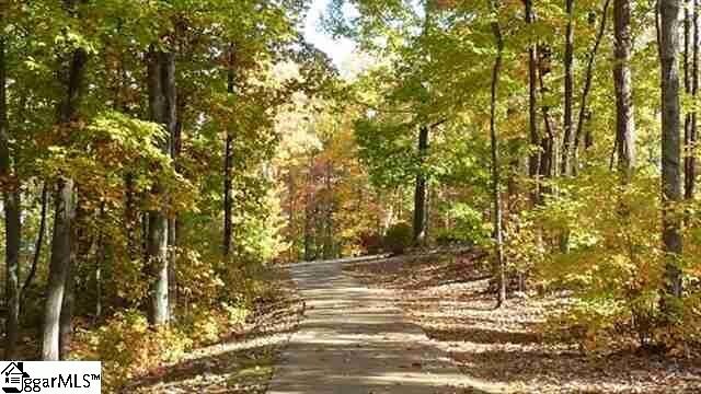 313 Laurel Valley Way, Travelers Rest, SC 29690